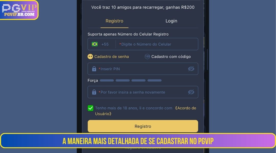 Como PGVIP Registro da maneira mais detalhada