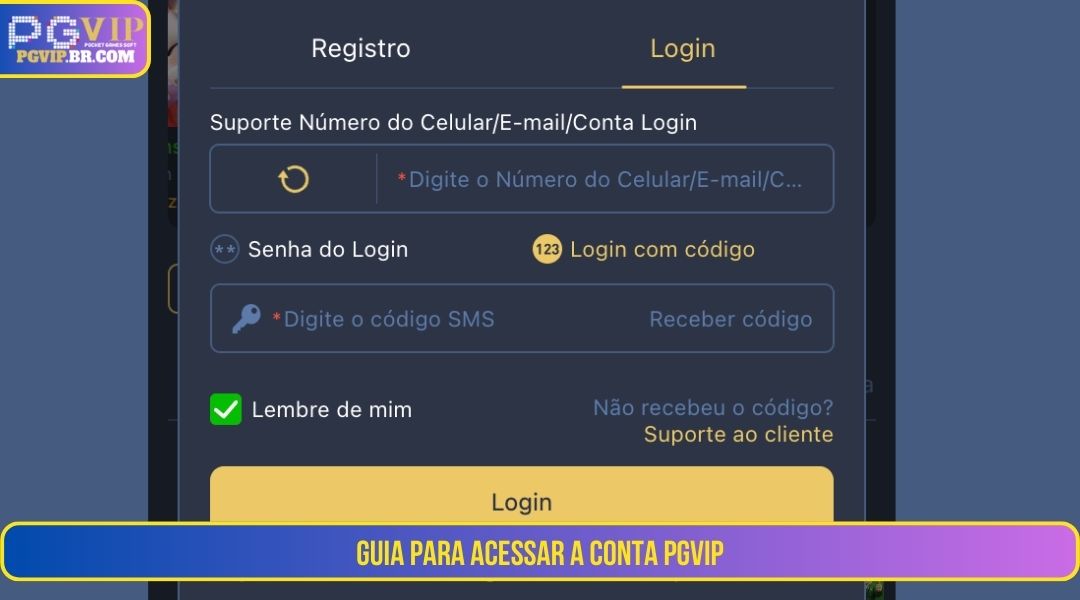 Instruções sobre como fazer login na sua conta PGVIP